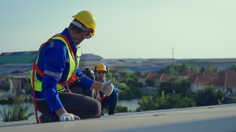 Best Metal Roofing Installation  in Panguitch, UT